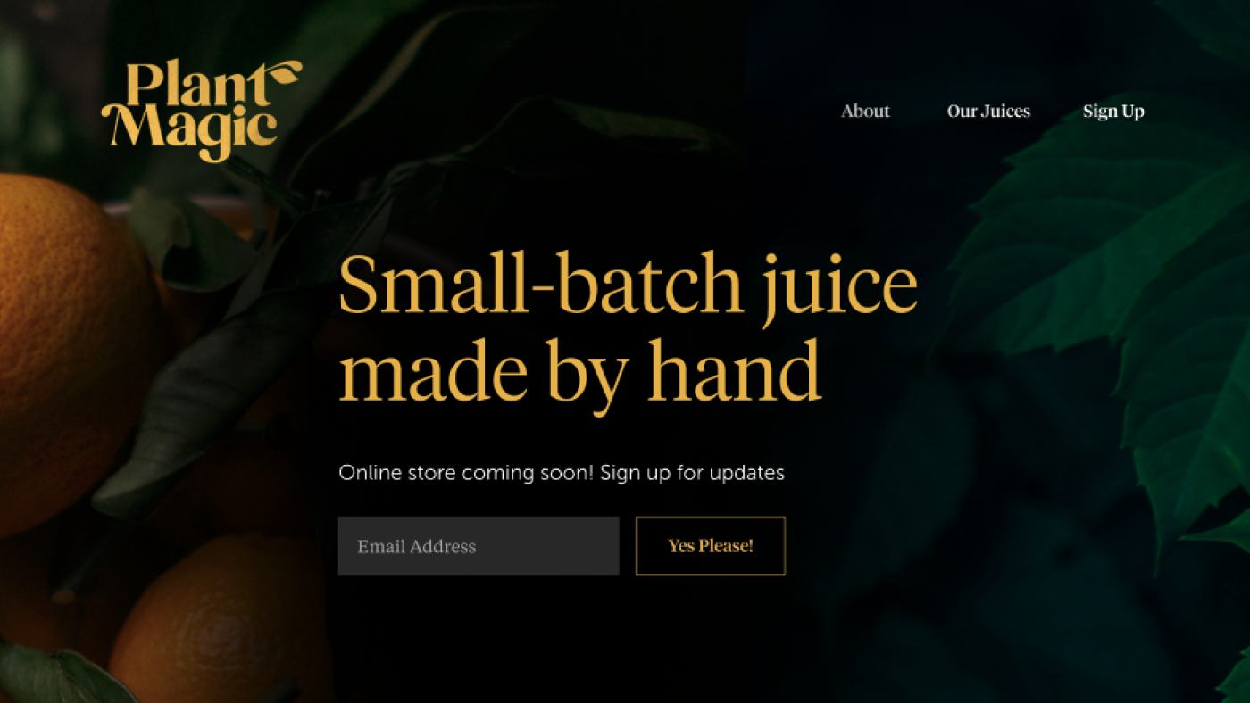 Plant Magic logo and landing page web design